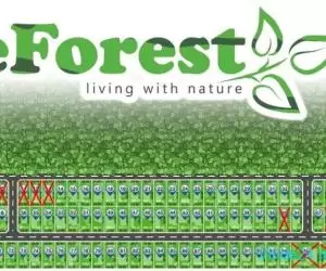 eForest, loturi de casa la padure, in Crevedia - Imagine 6