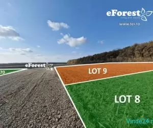eForest, loturi de casa  la padure, in Cocani, Crevedia, - Imagine 3