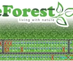 eForest, loturi de casa  la padure, in Cocani, Crevedia, - Imagine 9