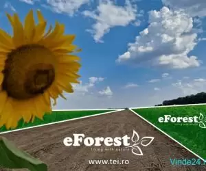 eForest, loturi de casa  la padure, in Cocani, Crevedia, - Imagine 10