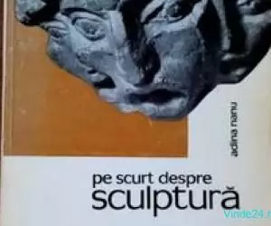 Pe scurt despre sculptura, Adina Nanu, 1966