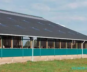 Proiectare și construcție grajduri / adăposturi ferme animale