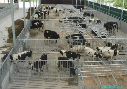 Proiectare și construcție grajduri / adăposturi ferme animale - 2/2