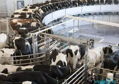 Sală de muls bovine Autorotor T8900 - 2/2