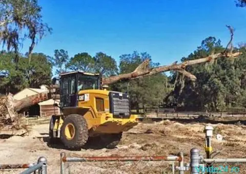 Defrisari terenuri cu utilaje specializate - 1/5