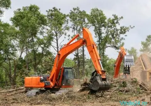 Defrisari terenuri cu utilaje specializate - 4/5