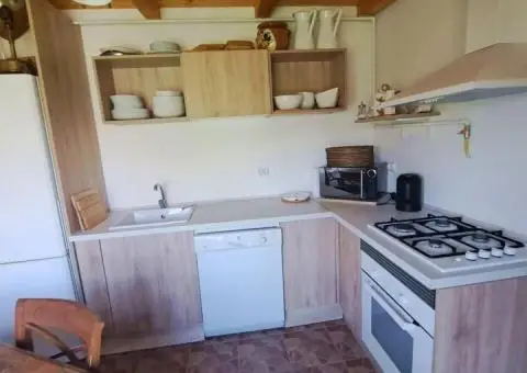 Casa de vanzare in Lunca Muresului - Gura Ariesului - 5/7