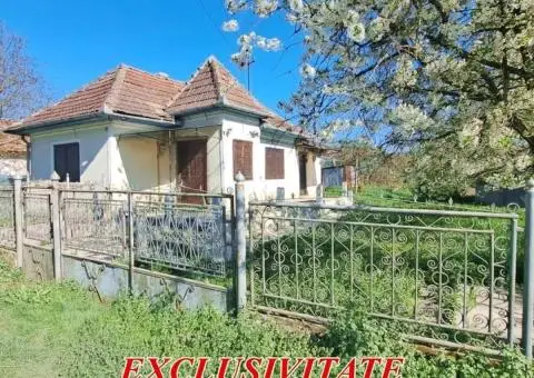 Casa de vanzare in Lunca Muresului - Gura Ariesului - 6/7