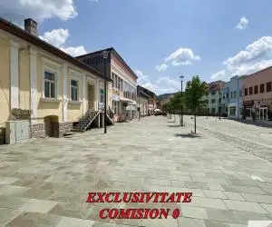 Casa de vanzare in Abrud, Centru