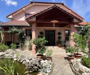 Vila de vanzare in Sebes