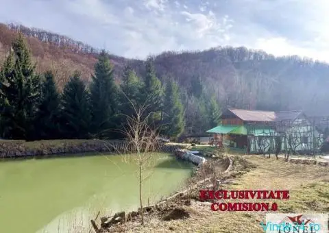 Casa de vacanta cu balta de peste de vanzare in Glogovet (Valea Lunga) - Blaj - 1/10