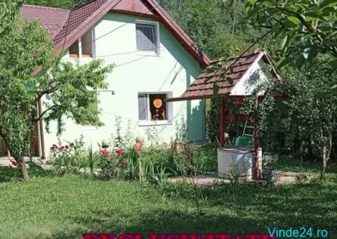 Casa de vacanta cu balta de peste de vanzare in Glogovet (Valea Lunga) - Blaj - 2/10