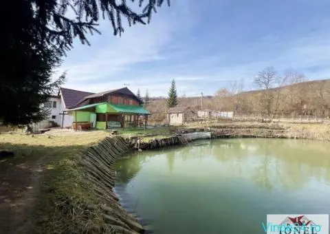 Casa de vacanta cu balta de peste de vanzare in Glogovet (Valea Lunga) - Blaj - 3/10