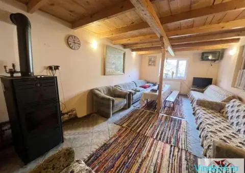 Casa de vacanta cu balta de peste de vanzare in Glogovet (Valea Lunga) - Blaj - 6/10