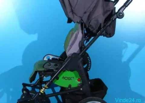 Carucior pentru copii cu dizabilitati Hoggi Bingo Evolution - 1/9