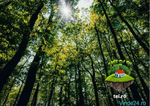 Teren in cartier locuit, 16 km de Bucuresti, acces la sosea DN1A - 3/7