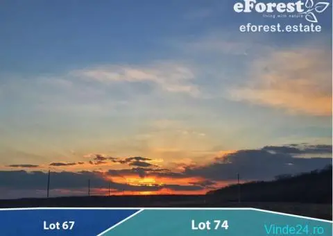 Teren 747 mp ideal pt casa in cartier nou rezidential, acces DN1A - 2/7