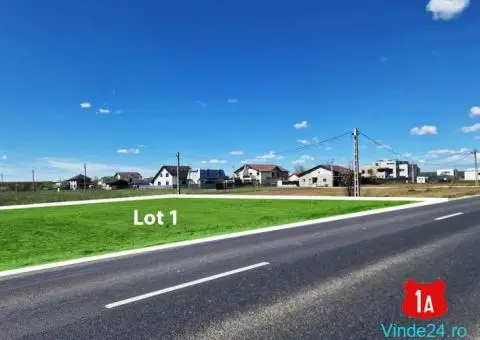 Teren in cartier locuit, Casa cu Tei, casa la padure, acces DN1A - 1/6