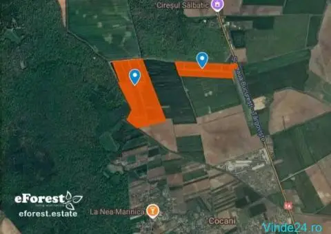 Promotie Teren generos în Ansamblul Rezidențial eForest - 4/9