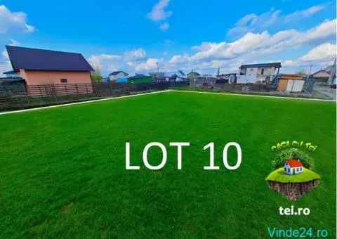 Teren cu potential exceptional, la padure, cartier locuit Casa cu Tei - 7/7