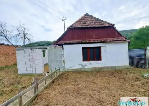 Casa de vanzare in Miraslau - Ormenis - 6/7