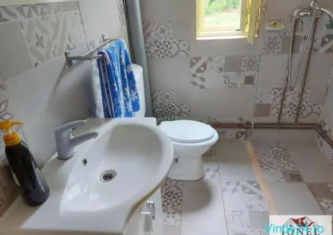 Casa de vanzare in Muntii Apuseni - Horea - 7/10