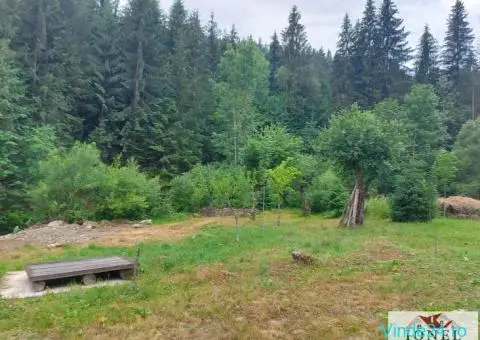 Casa de vanzare in Muntii Apuseni - Horea - 8/10