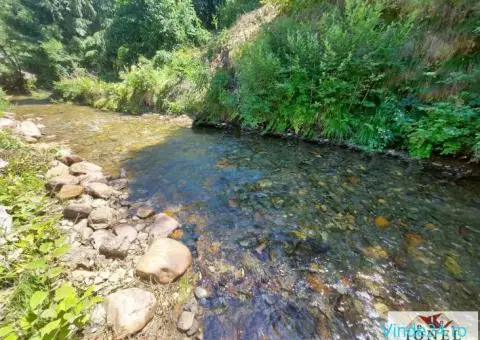 Casa de vanzare in Muntii Apuseni - Horea - 10/10