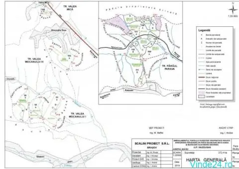 Padure Bacau de Vanzare - Oportunitate Unica de Investitie Ecologica