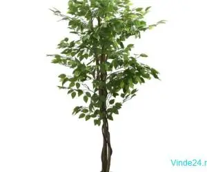 Arbore ficus artificial 378 de frunze 80 cm verde