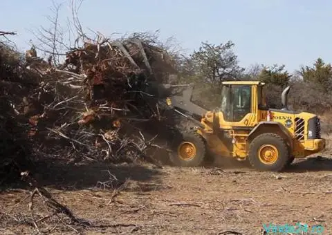 Servicii Profesionale de Defrișare și Curățare Terenuri - 2/3