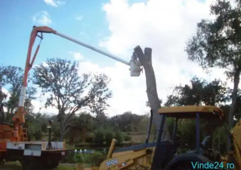 Servicii Profesionale de Defrișare și Curățare Terenuri - 3/3