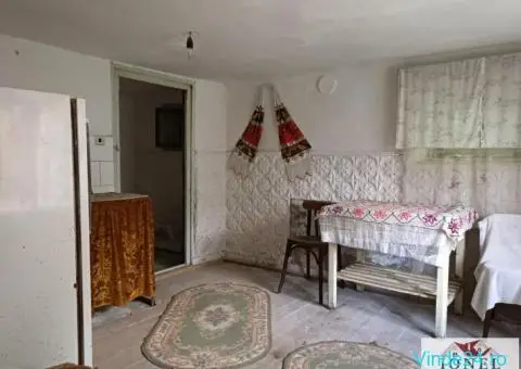 Casa de vanzare in Trampoiele - Zlatna 1992mp teren - 4/10