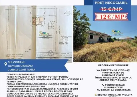 Teren de vânzare – Sat Ciobanu, comuna Ciobanu, județul Constanța - 2/2