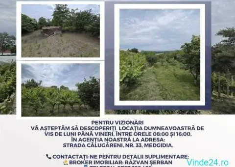 Casă de Vis în Satul Rasova, Constanța - 2/10