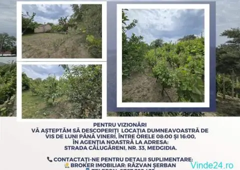 Casă de Vis în Satul Rasova, Constanța - 3/10