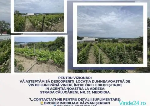 Casă de Vis în Satul Rasova, Constanța - 6/10