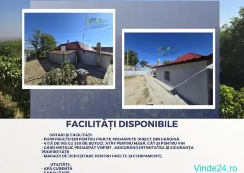 Casă de Vis în Satul Rasova, Constanța - 10/10