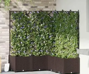 Jardiniere de grădină cu spalier, 5 buc., maro, 120x120x143 cm