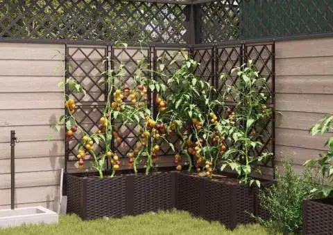 Jardiniere de grădină cu spalier, 5 buc., maro, 120x120x143 cm - 3/5