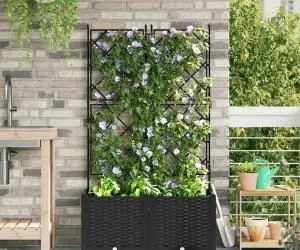 Jardiniere de grădină cu spalier, 2 buc., negru, 80x80x143 cm