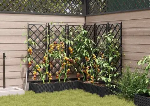 Jardiniere de grădină cu spalier, 5 buc. negru 120x120x125,5 cm - 3/5