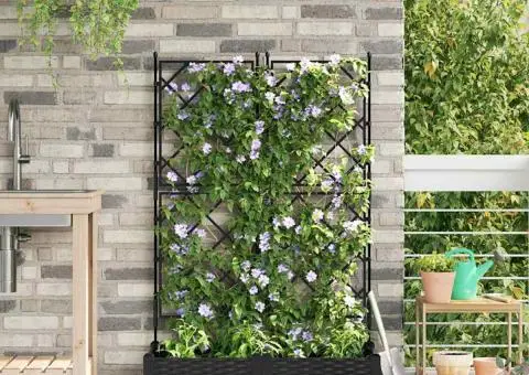 Jardiniere de grădină cu spalier, 2 buc., negru, 80x80x125.5 cm - 1/5