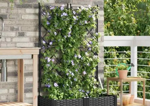 Jardiniere de grădină cu spalier, 2 buc., negru, 80x80x125.5 cm - 3/5