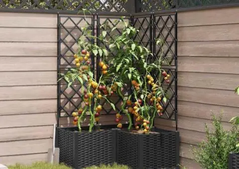 Jardiniere de grădină cu spalier, 3 buc., negru, 80x80x143 cm - 3/5