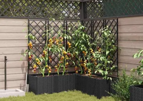 Jardiniere de grădină cu spalier, 5 buc., negru, 120x120x143 cm - 3/5