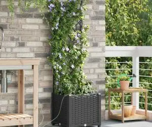 Ghivece de Grădină 1 buc Zăbrele Negru 40 x 40 x 142 cm Plastic