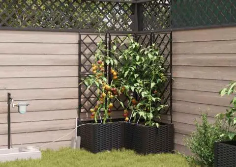 Ghivece de Grădină 1 buc Zăbrele Negru 80 x 80 x 142 cm Plastic - 3/5