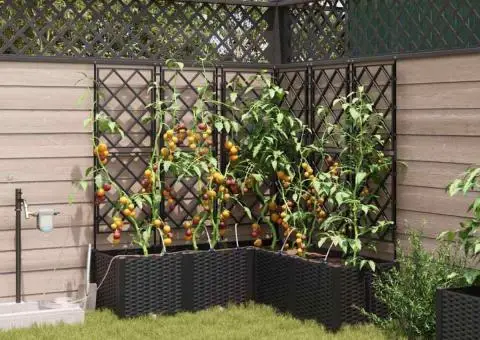 Ghivece de Grădină 1 buc Negru 120 x 120 x 142 cm Plastic - 1/5