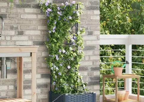 Vază pentru Grădină Zăbrele cu depozitare Gri 40 x 40 x 126cm Plastic - 1/5